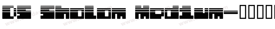 DS Sholom Medium字体转换